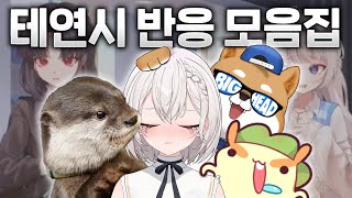 고소 자료
