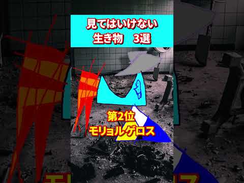 thumbnail_2_2eCQaQluY