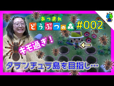 【あつ森】キモ過ぎ注意！タランチュラ島を目指す🌴#002【ももかチャンネル】