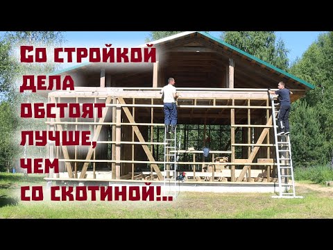 Про гибель скотины, продолжение строек и надежды на мёд!..