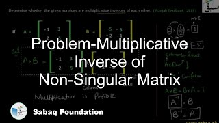 Problem-Multiplicative Inverse of Non-Singular Matrix