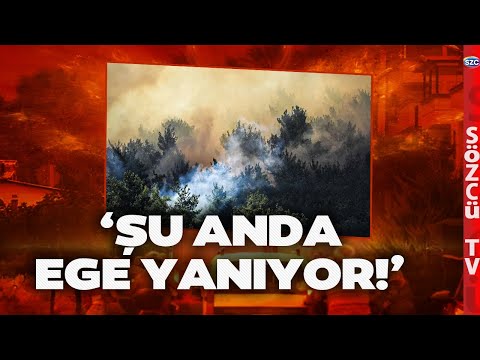 'Şu Anda Ege Yanıyor'' Yangın Uzmanı Seferihisar Orman Yangınlarını Anlattı! İktidara Sert Tepki!