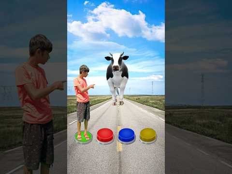 I Jump on button to cow, monkey, dog & snake - Funny vfx magic