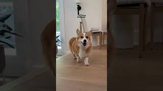 She made his heart whole again