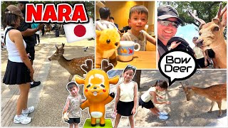NARA PARK 🇯🇵 One of our Japan Highlights! 🦌❤️