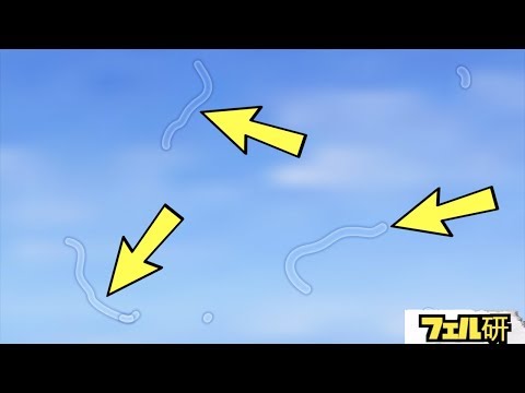 【衝撃】目の中に浮かんでいる謎の物体の正体とは！？