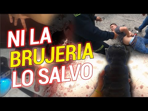 EL MATA GATOS, Alias el Brujo... Ni con rezos se salvó, gracias a nuestro #gps  @selfsecuritygps