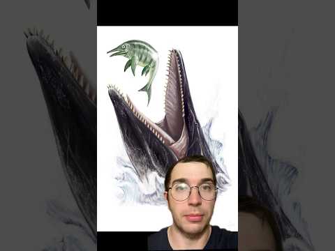 #динозаври #dinosaur #еволюція #іхтіозавр #кронозавр