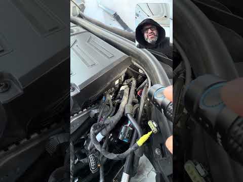 Хит парад недели 🙈