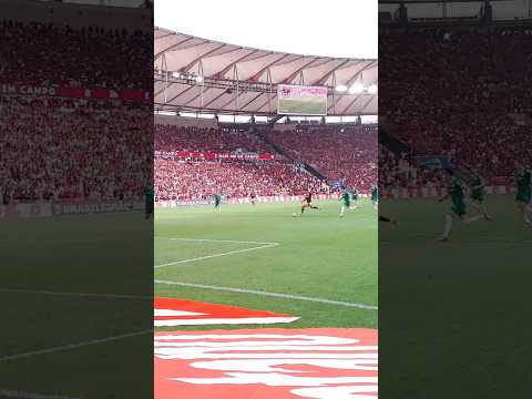 Arraxxxxxxca no Maracanã #flamengo #futebol #flamengo #ecosdaarquibancada #viral #palmeiras #shorts