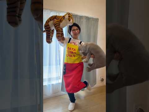 スタジオにあったぬいぐるみ達🐅🦏#ぬいぐるみ#バタやんちゃんねる #くわばたりえ