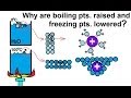 Effects of Solutes on Water Properties
