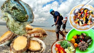 Mencari Kerang Mata Tujuh (ABALON) disaat Air laut Surut | Catch & Cook
