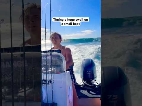 Australians man ๐คฏ ๐ #Fishing #shorts #fish #outdoors #ocean #boat #boats #wild