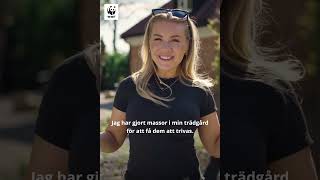 🦔 JUST NU: Klistermärken med igelkottsmotiv!