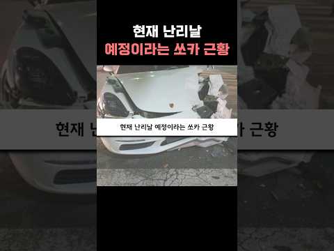 현재 '난리날 예정이라는 쏘카' 근황