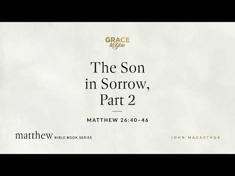 The Son in Sorrow, Part 2 (Matthew 26:40–46) [Audio Only]