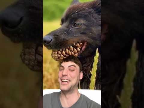 You Can't Unsee It