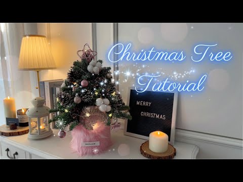 🎄How to make your own Christmas tree by using Abies Nobilis ( Noble Fir )🎄｜DIY Christmas Tree 💕🎄