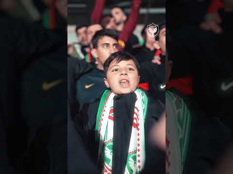 ❤️💚
