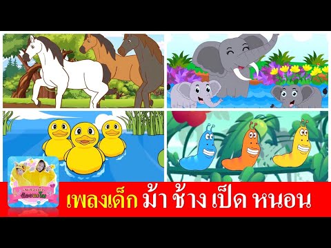 เพลงเด็ก ม้าวิ่งกรับกรับ |  ช้างช้างช้าง |  เป็ดอาบน้ำในคลอง |  หนอนผีเสื้อ