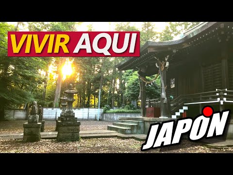 UN FIN DE SEMANA EN JAPON | TOKIO JAPANISTIC