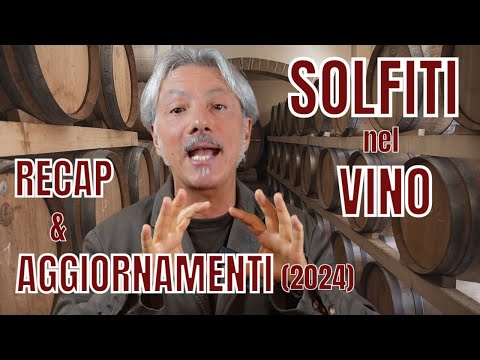 SOLFITI nel VINO: RECAP e AGGIORNAMENTI (2024)