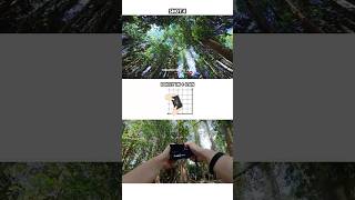 Level Up Your Landscape Videos With These 5 Camera Moves 👀 | Insta360 Ace Pro 2