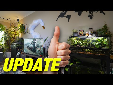 This Is My FISH and Plant Room Today! Jungle Room  Come along today as I show you the jungle. We head to Aquarium Co-Op and Moonlight Aquatics to check