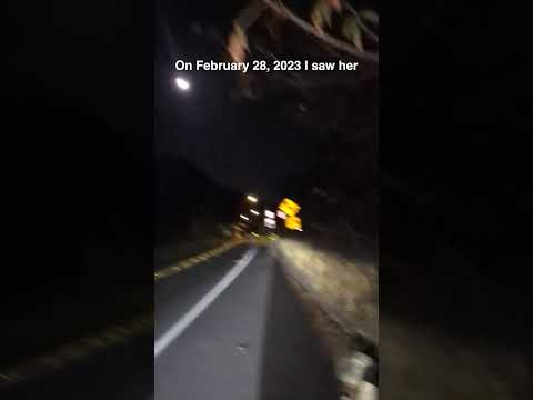Niles Canyon Ghost - Short 03