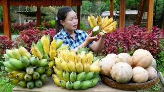 "Harvesting Bananas and Pumpkins at the Farm and Selling Them at the Market | Trieu Mai Huong".