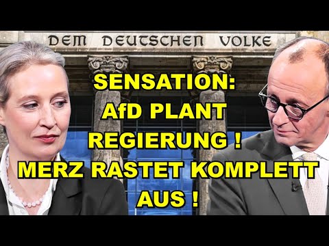 AfD PLANT REGIERUNG! Merz RASTET AUS!