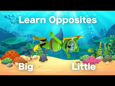 Learn OPPOSITES With Gummibär - BIG and LITTLE - Gummy Shark Week 2019 - Learn English Words