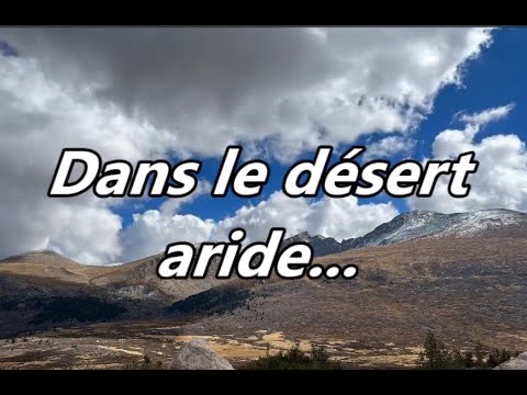 Dans le désert aride