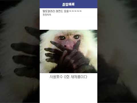 탈모갤러리 레전드 모음ㅋㅋㅋㅋㅋ