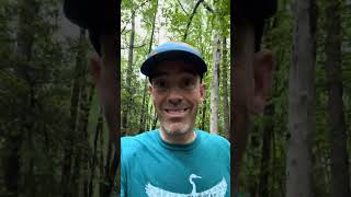 Rails to River 5/4/25 - conditions on race day that caused postponement