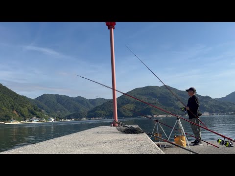 美味しい魚を釣りに行こう…愛媛県西予市