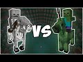 Video Engagement and Viewer Interaction