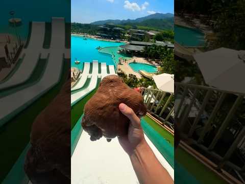 Squishy Monkey Goes Down Epic Water Slide!