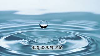 水有多重要(事前預覽版本)