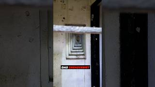 9.000 Bunker – aufgegeben ohne einen Schuss