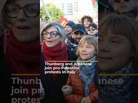Thunberg and Albanese join pro-Palestine protests in Italy | AJ #shorts