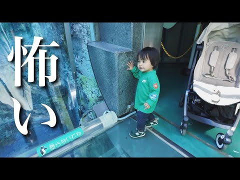 【北海道旅行3日目】足元が透明で落ちると思い込んで足元すくわれる１歳児