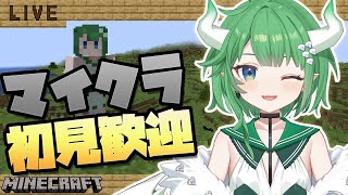 【Minecraft】マイクラ初心者のゆるゆる建築雑談配信【新人Vtuber】