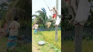 লোকটার আনারস গেল কই ?