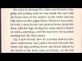 Exploring Hatchet Chapter 18 Insights