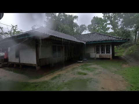 Hujan Deras Mengguyur Perkampungan Sampai Banjir Gadis Desa Hujanan Dengan Gembira di Cidaun Cianjur