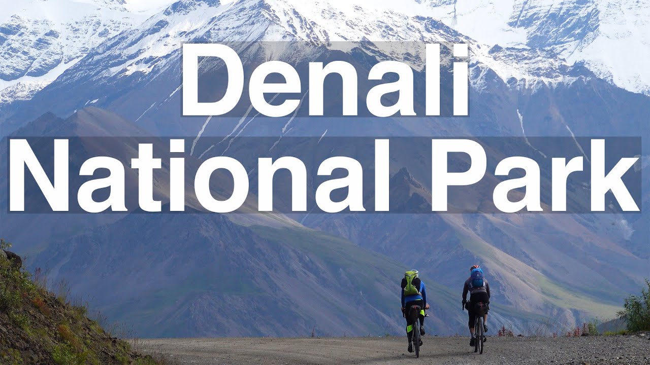 Denali National Park // Riding the Park Road - Mountain trips