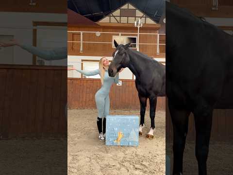 Da ist er wieder! Der Horsebrands Adventskalender für ALLE Reiter! 😍🐴 #equestrain #short #viral