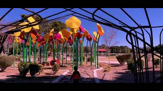 Hang out at the playground